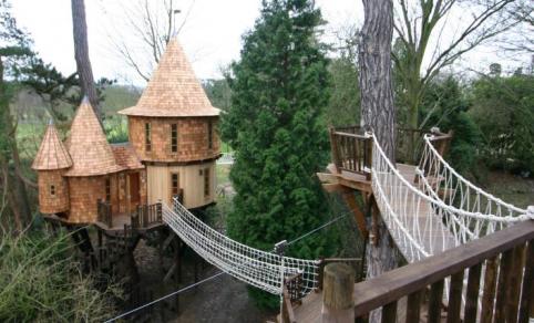 blueforest_treehouse___2_gallery-image