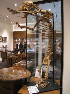 Astro Gallery of Gems